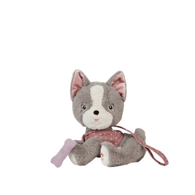 Dinkum Dogs - Gizmo