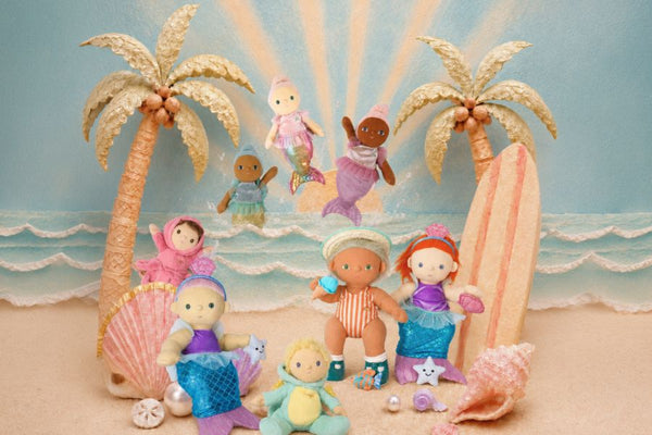 Welcome to Seashell Shores