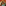 collections/5_1_8a94b8f0-2db3-4147-b819-189d59e47d88.png - Oliliella