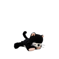 Black and white plush toy cat on a white background