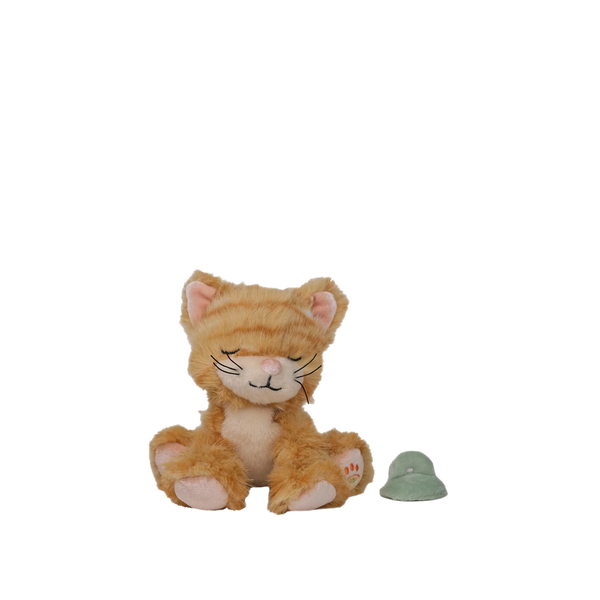 Binky_Kitten_Koda_-
