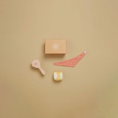Dinkum Dog Sets - Starter Set