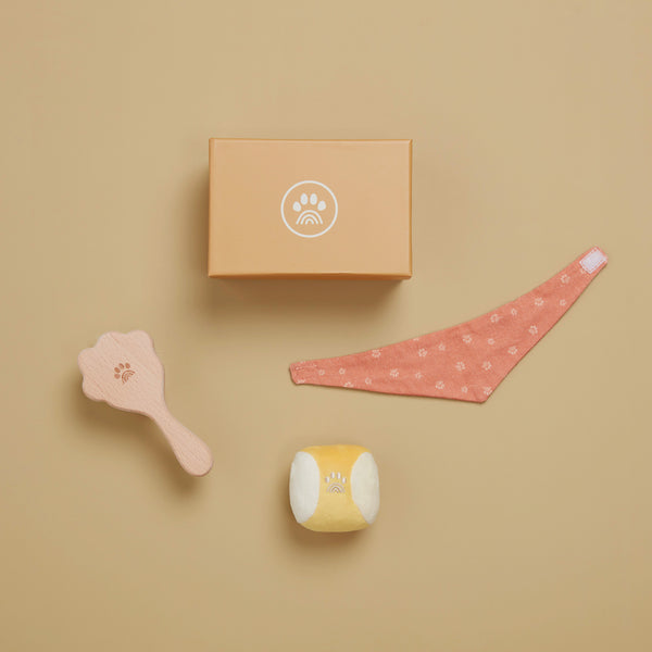 Olli Ella Dinkum Dog Starter Set - ball, bandana and brush kit
