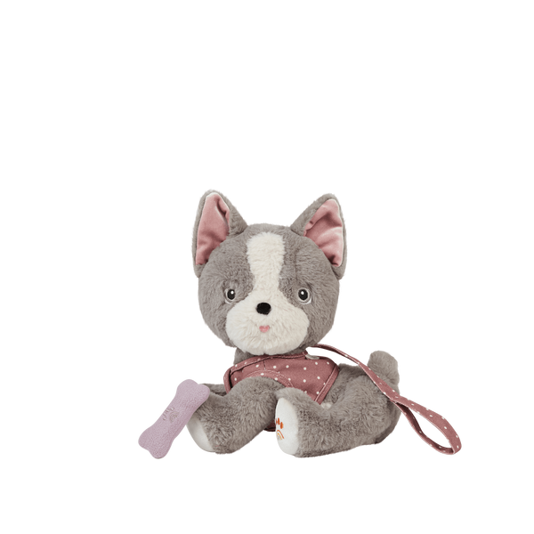 Dinkum Dogs - Gizmo