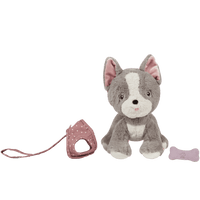 Dinkum Dogs - Gizmo