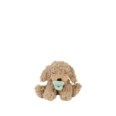 Binky Puppy - Benny