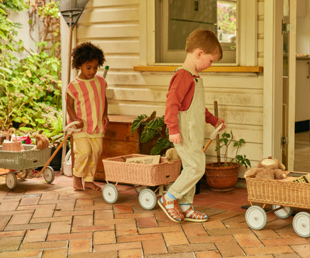 Dinkum Dolls USA Wonder Wagon