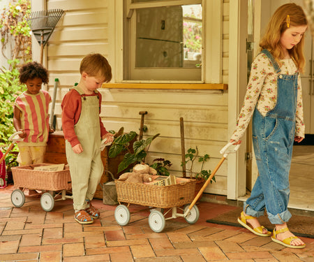 Dinkum Dolls USA Wonder Wagon